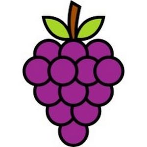 Meet your Posher, Jesse